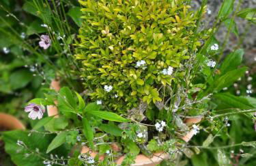 Ferienwohnung Zur Waldroute - Foto 9