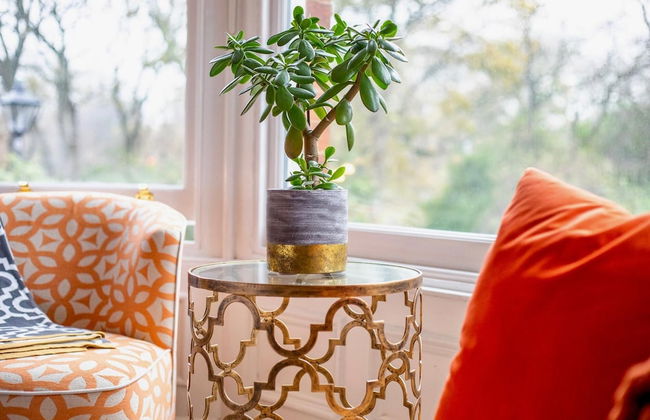 Fabulously Unique 3BD Home Sunderland - Foto 19