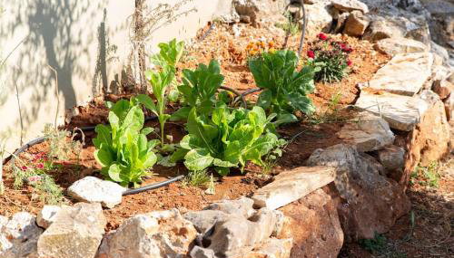 Villa Niovi - Foto 4