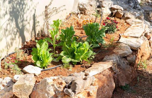 Villa Niovi - Photo 4