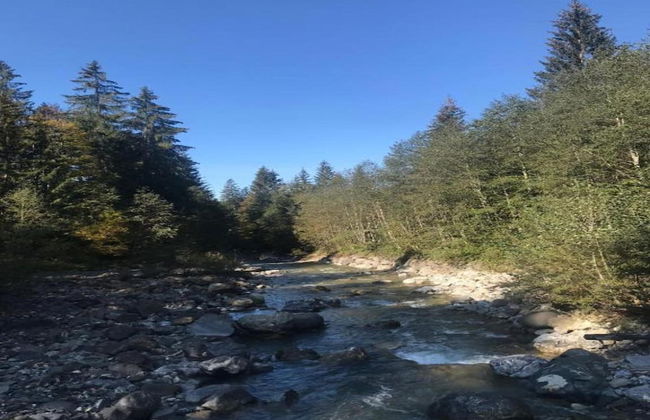 Apartment in Damuls Near Hiking Trails - Photo 34