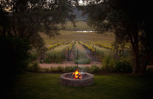 Denneboom Vineyards and Wildlife - Foto 51