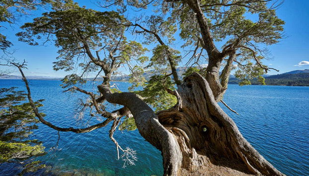 Day Trip to Villa Pehuenia - Foto 2