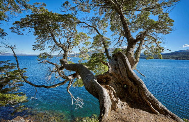 Day Trip to Villa Pehuenia - Foto 2