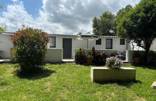 Gîtes Terra di a Bravona - Foto 51