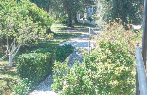 Maria's Paradise - Foto 60