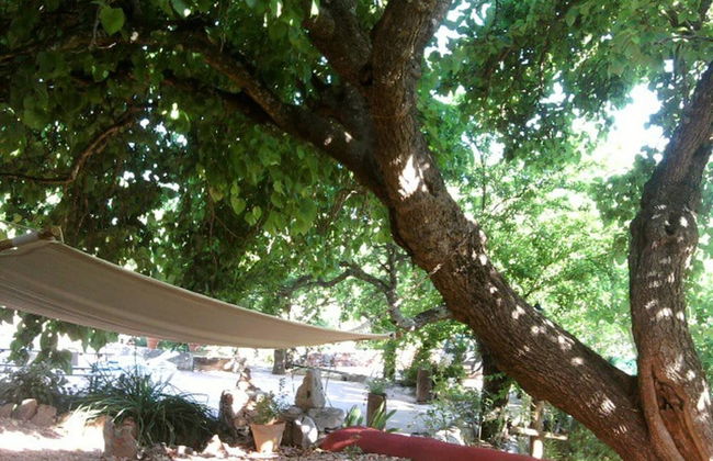 Casa Amoreira - Quinta Amoreira - Foto 40