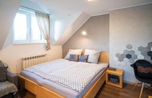 Maniówka - pokoje i domki w Bieszczadach - Foto 8