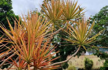 Casa encantadora 900m da PRAIA de Itaipuaçu - Foto 77