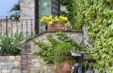 Molino di Cogno - Foto 44