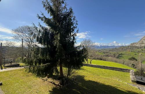 Escuelas de collía A - Photo 13