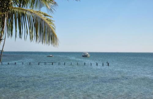 Kitnet em ambiente familiar - Photo 18