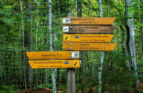 Großer Arber, Wandern & Sauna, Gemütliches Apartment im Nationalpark Bayerischen Wald - Foto 24