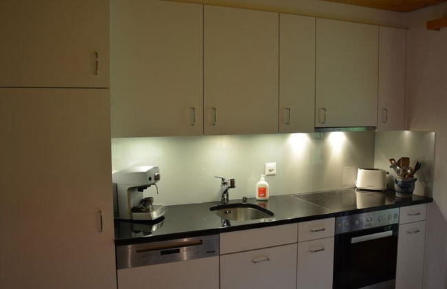 Hornflue (Wohlwender) - Foto 26