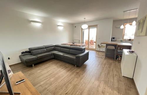 Urban Jungle - Foto 9