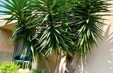 Villa les escapades luxo & piscine - Foto 45