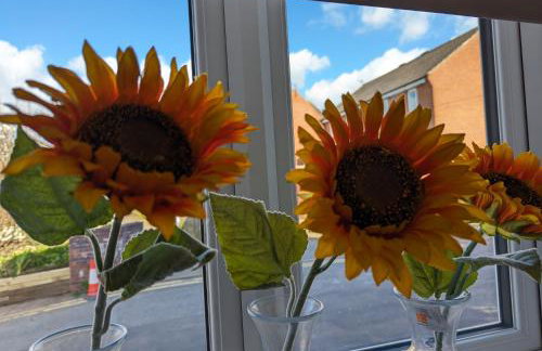 The boot factory - Foto 29