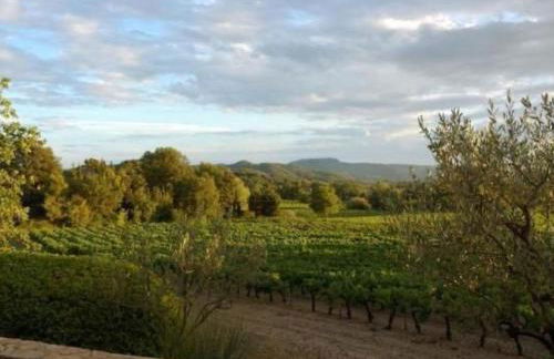 Holiday Home FERIENHAUS- FERIENHAUS MAISON DE LAVANDE - LAVENDELHAUS by Interhome - Foto 24