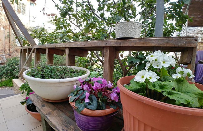 Ahuzat Shaul - Studio - Foto 38