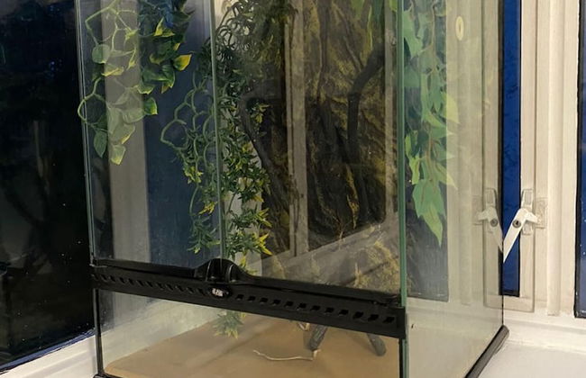 Charming 3-bed Apartment in London - Foto 42