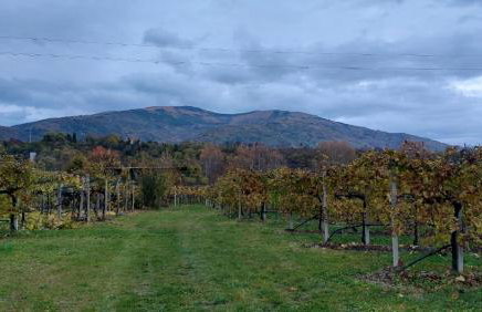 La Caneveta al Piave - Foto 32