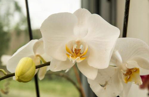 Dolce Casetta - Foto 18