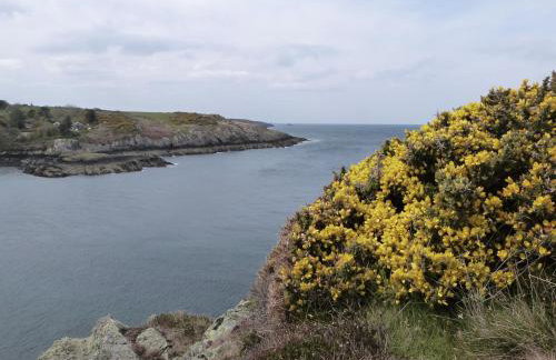 Bryn Lon Bach - Foto 19