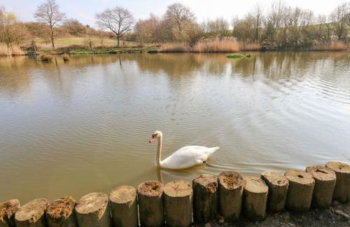 The Hay Barn - Foto 42