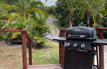 Country Cottage in Papa Bay - Foto 35