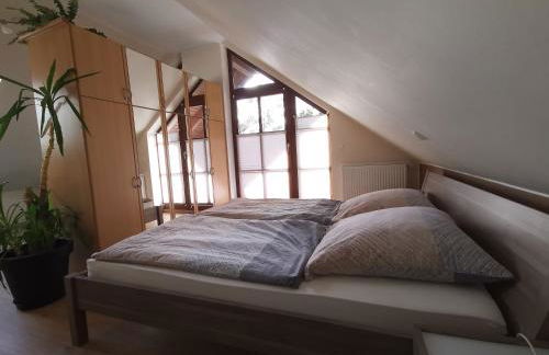 Studio und Apartment auf dem Pferdehof - Foto 10