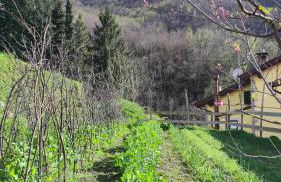 La Pezzuola 53 - Foto 63