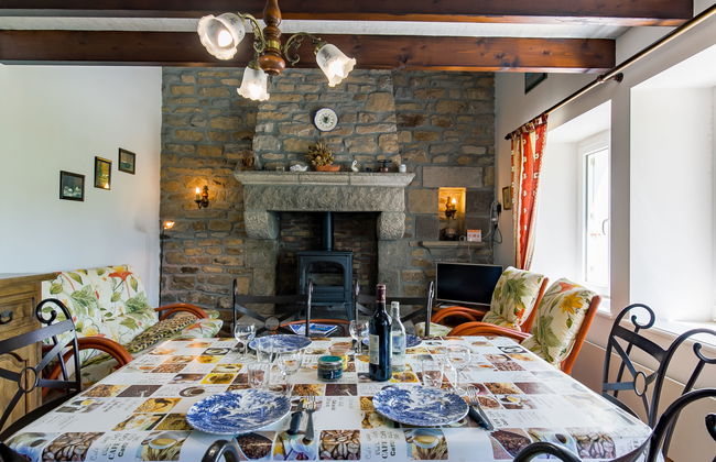 Blaue Hortensie - Foto 8