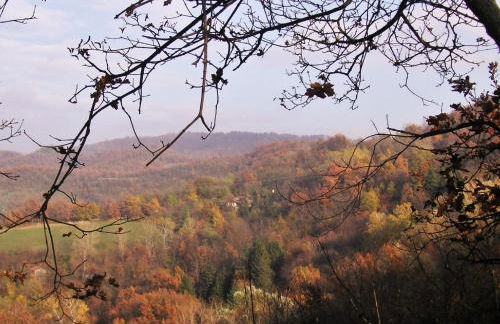 La Traversina - Agriturismo di Charme - Foto 69