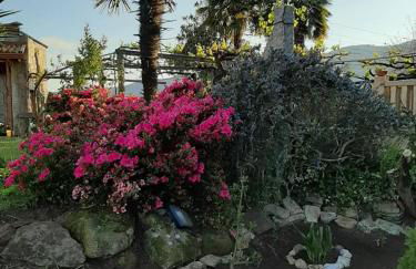 Os Areeiros Turismo Rural & Bodega - Foto 41