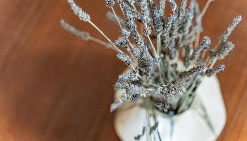 Casa d'Arte - Photo 4