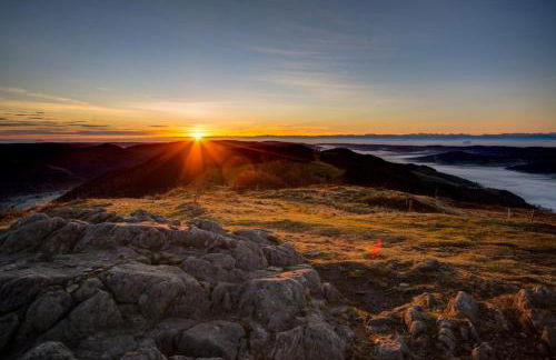 Ferienwohnung Schweizer - Foto 27