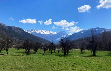 Résidence Le Rosier-vallouise - Appartement authentique à Vallouise – Une escapade pleine de charme au cœur des montagnes MAE-5063 - Foto 5