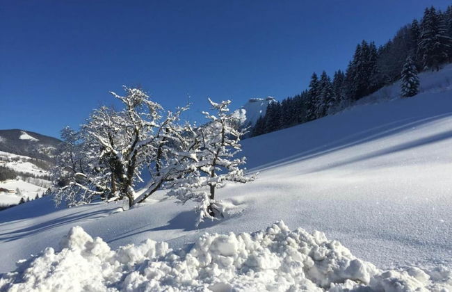 Apartment in Niedernsill Near Zell am See Ski Area - Foto 38