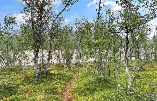 Willa kiiruna - Foto 21