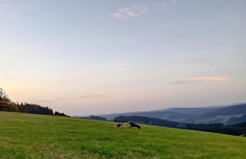 Ferienwohnung "Dorfliebe" mit privater Sauna und 4 Schlafzimmern in Breitnau - Foto 25