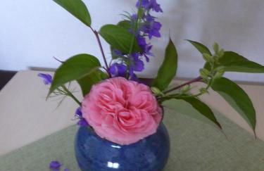 Ferienwohnungen Dora - Foto 13