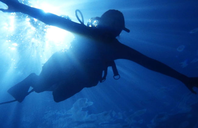 Snuba à San Andrés - Photo 1