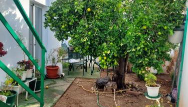 Apartamento Loft con vistas al mar y ciudad - Foto 3, Garden