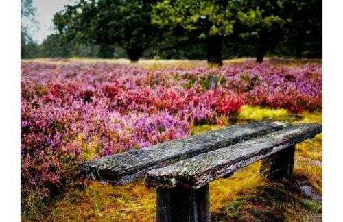 Amazing Holiday Home Near the Lake - Foto 55