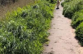 Romantic luxury Cottage right next to the ocean - Photo 16