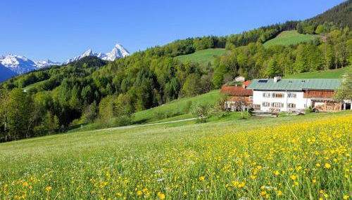 Bauernhof Vorderstiedler - Photo 2, Garden