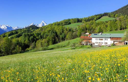 Bauernhof Vorderstiedler - Foto 2