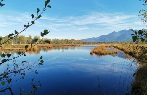 Ferienwohnung Waldgeflüster - Photo 12