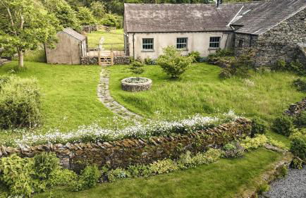 Green Yew - Photo 63