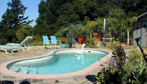 Vacation Rental with Spa and Pool on Winery near Healdsburg, California - Foto 5